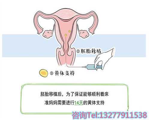 柬埔寨试管婴儿技术优势与费用解析：为何选择海外助孕