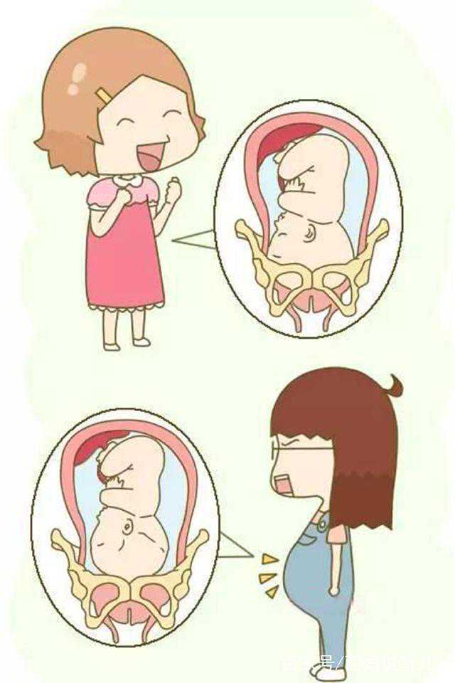 国内供卵等待时长解析与35+高龄职场女性高效备孕策略