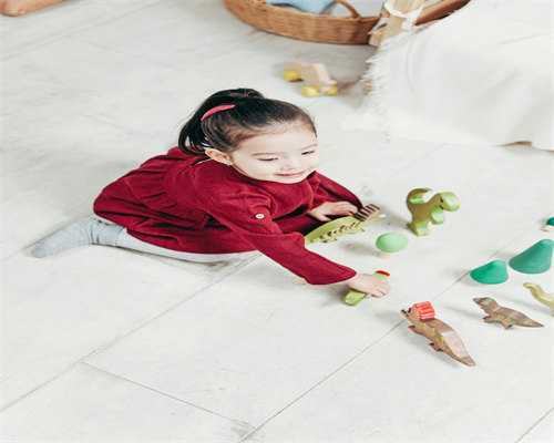 国内高端代生服务与精子库选择指南