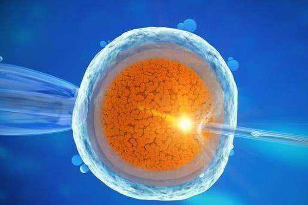 营养护航胚胎移植后饮食五项原则