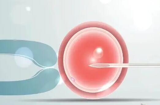 海南怎么做第三代试管婴儿，三代试管胚胎筛选多少钱