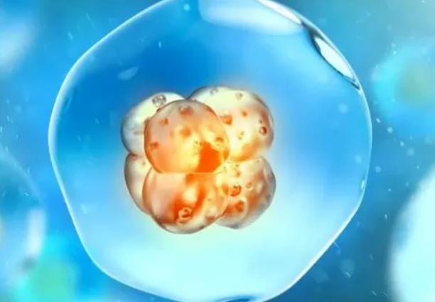 女方少一条染色体没有卵泡可以用别人的卵子怀孕吗