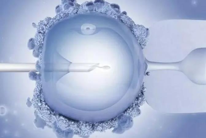 试管婴儿一超胎芽正常大小不超这个数2mm不一定会胎停